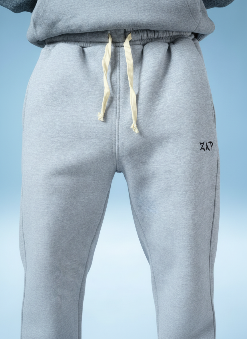 Zap gray pants