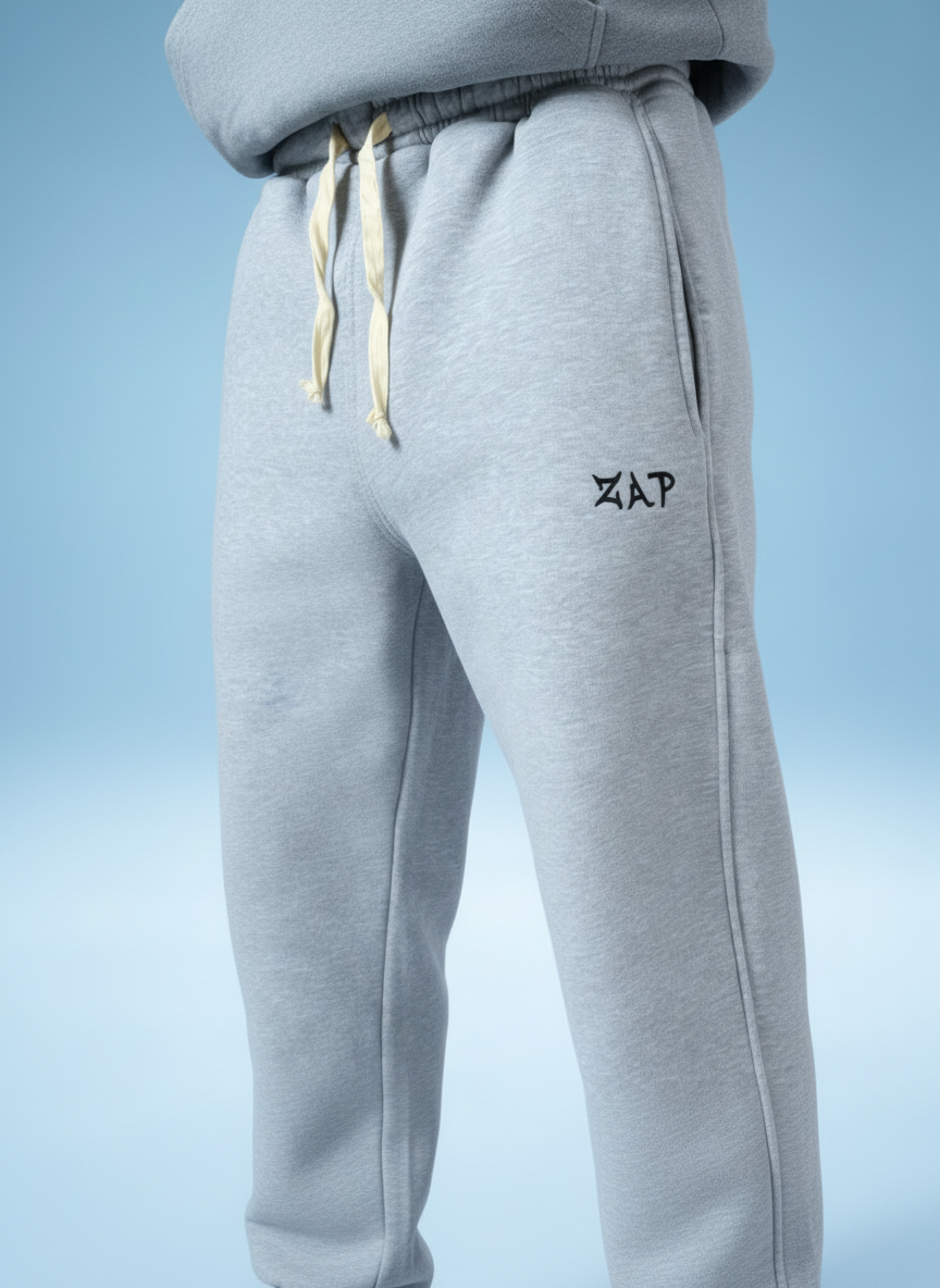 Zap gray pants