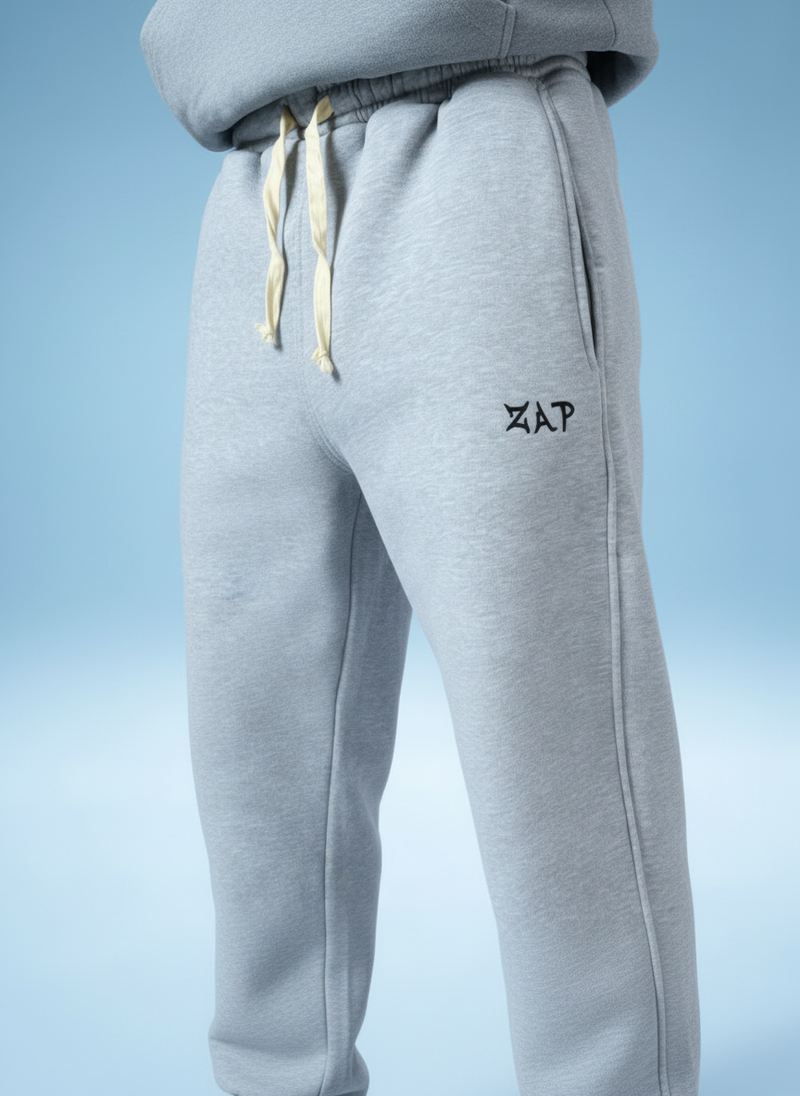 Zap gray pants